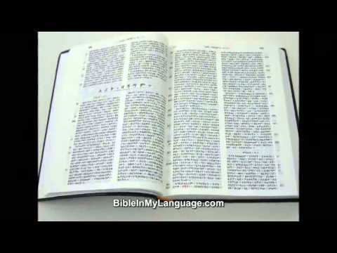 Ethiopian orthodox bible in amharic free download